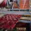 PVC Roof Sheet with ASA Resin Coating Extrusion Machine