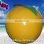 Apple shape inflatable buoy,inflatable buoy