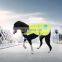 Wholesale best selling pet safety visibility reflective dog vest