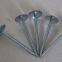 Galvanized Umbrella Head Roofing Nails factory