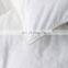 Thick And Warm Goose Feather And Down Duvet Quilt For Four Seasons