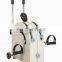 Physical Therapy and Rehab Bike assistant equipment