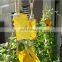 Doubled Side Sticky Traps High Quality Wholesale Price Yellow Kill Fruit Flies+ Killer Insect Fly Traps for Insect Control Use
