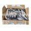 Frozen BQF IQF Scomber japonicus pacific mackerel fish 300/500g