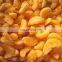 New Crop IQF Frozen Peeled Mandarin Orange Broken