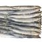 2021 new good quality fresh seafood frozen fish whole round pacific saury price for sale frozen pacific saury w/r
