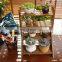 High Quality 4 Tier Hand Polished Stair Style Wood Plant Stand Flower Pots&Planters Garden Supplies Planter
