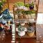 Wholesale indoor outdoor designs other garden supplies wooden bamboo 4 tiered flower pot plant wall stand display shelf