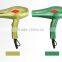 Ionic Professional Hair Dryer, 1200W to 2000W