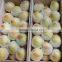 Fruit Package Net EPE Foam Net