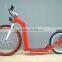 electric kickbike dog scooter foot scooter kick bike for adult (LDH-14R)                        
                                                Quality Choice