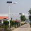 Promotion!! intelligent light control solar lights for garden