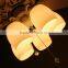2015 Newest China Factory Supply Indoor Ceiling Fan With LED