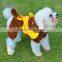 Wholesale Halloween Christmas Cosplay Pet Dog Lion Costume