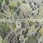 african swiss voile lace,dress making lace fabric,lace for wedding dress                        
                                                                                Supplier's Choice