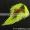 Feathers Bucktail Fly Tying