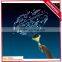 new arrival pojector torch toy for preschool kids