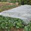 100% Polypropylenen Agriculture Non-woven Fabric PP Non-woven Fabric