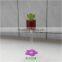 long colour stem glass mini wine glass