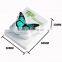 Butterfly Shape Plastic Magnetic Clip for Name Card And Note
