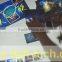 17' to 80' transparent Interactive touch foil glass