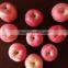 2015 New Crop Chinese Apple Fuji Apple Fresh Apple