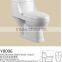 Y8006 bathroom one Piece Toilets ceramic washdown toilet chaozhou toilet factory