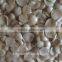 Chinese Blanched Apricot Kernels Flakes-Guangzhong type for Sales