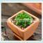 square terracotta flower pot with square design for plants