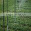 Pointer type sprinkler