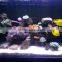 Sunrise sunset simulation WIFI wireless control system aquarium light led for fish tank