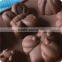 Insect Design Silicone Cookie Baking Tools
