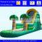 China Henan inflatable slide, giant inflatable water park slide