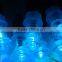 jacuzziys spa bathtub chromotherapy LEDMini Light