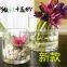 wholesale clear acrylic flower vase insert
