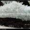Nature cleaer quartz cluster for sale