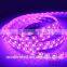 Non-Waterproof smd 5050, 60led/m, 300led/roll rgb zilotek led grow strip light