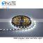 Bendable LED Strip 5050SMD 5M DC12V 60leds/m High Brightness Nonwaterproof S-shape LED Strip Lights