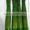 fresh china onion flowers or leek flowers
