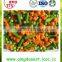 ISO 9001 Chinese for sale Best quality frozen organic mixed vegetables