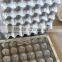 plastic egg tray mold