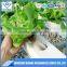 hydroponic systems hydroponic nft greenhouse hydroponic greenhouse systems