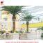 Hot selling big tree for sale for decorative iron palm tree