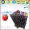 China Factory FDA/SGS 39x59cm Apple Fruit Packaging