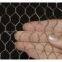 PVC Coated Chicken Wire