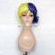Ukraine Synthetic Afro Twist Wigs FGW-0024