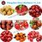 Blueberry sorting machine/cherry tomato sorter / fruit grader sizer