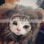 Funny Pet dog Kitty wigs cat Lion plush Cap cosplay with ear sample free