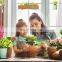 Acrylic Window Plant Shelf Strong Suction Cup Book Shelf Floating Wall Shelf