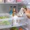 Clear Transparent  Plastic Fridge Storage Box taizhou storage box for fruit and vegetables acrylic Kitchen food container